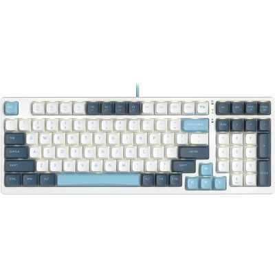 клавиатура A4Tech Fstyler FS300 Panda Snowboarding Белый-синий
