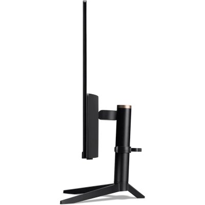 моноблок Acer Aspire C22-1610 DQ.BL9CD.002 Черный