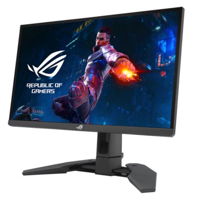 монитор ASUS ROG Swift PG248QP Черный