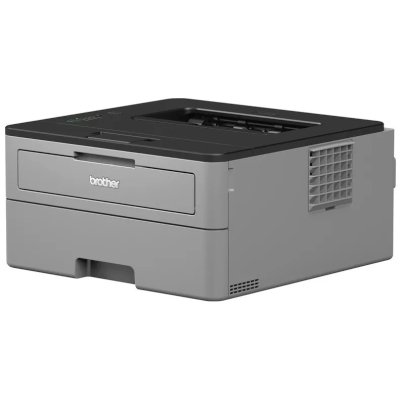 принтер Brother HL-L2312D Серый