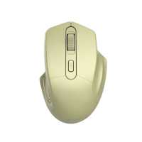 мышь Canyon MW-15 CNE-CMSW15GO Золотой