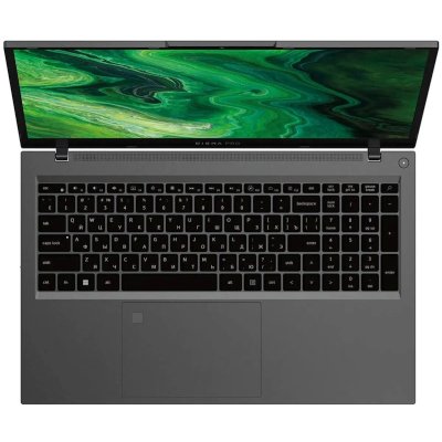 ноутбук Digma Pro Fortis M DN17P5-ADXW01 Серый