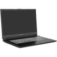 ноутбук Dream Machines RG3060-17KZ39-wpro Черный