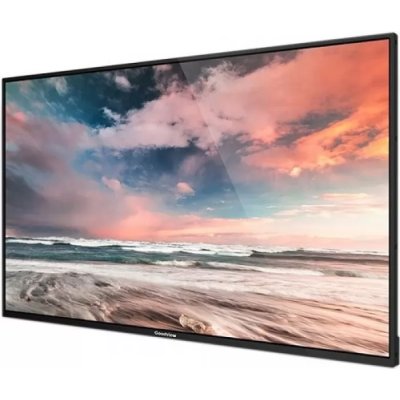 профессиональный дисплей GoodView M43SAH