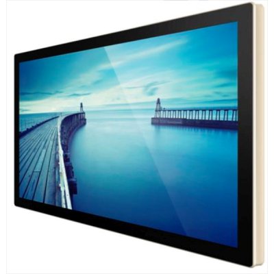 профессиональный дисплей GoodView TC55H1