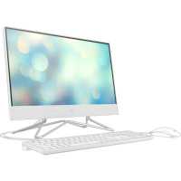 HP All-in-One 22-df0063ur