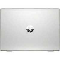 ноутбук HP ProBook 455 G7 1L3U0EA Серебристый