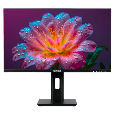 монитор Irbis SmartView ISM24FIDRVesa Черный
