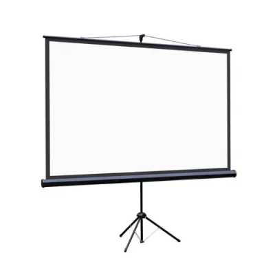 экран для проектора Lumien Eco View LEV-100115