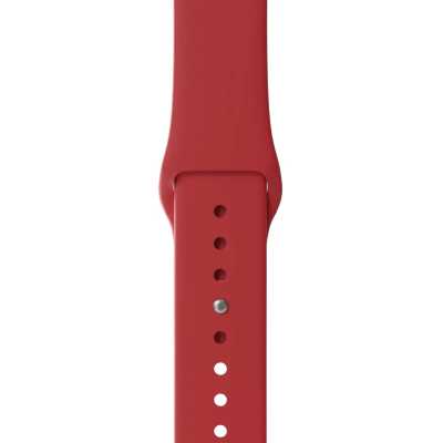 ремешок Lyambda DSJ-01-40-RD