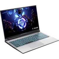 ноутбук Machenike L15C L15C-i512450H3050Ti4GF144LSM00R1W Серебристый
