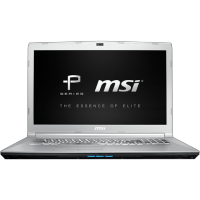 ноутбук MSI PE72 7RD-837 Серебристый