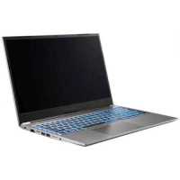ноутбук Nerpa Caspica A752-15AC161401G Серый