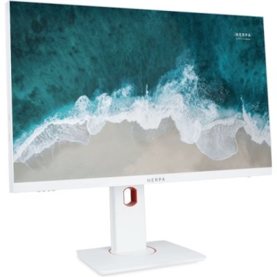 моноблок Nerpa SAIMAA I242-121G082601W Белый