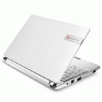 нетбук Packard Bell DOT S-E3/W-500RU Белый