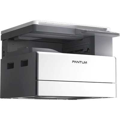 МФУ Pantum BM231N