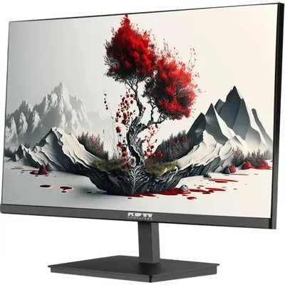 монитор RDW Computers 2401K/F00В3120V2A1 Черный