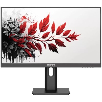 монитор RDW Computers 2701K/F05B0120V2A1 Черный