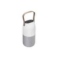 колонка Samsung Bottle Design Grey